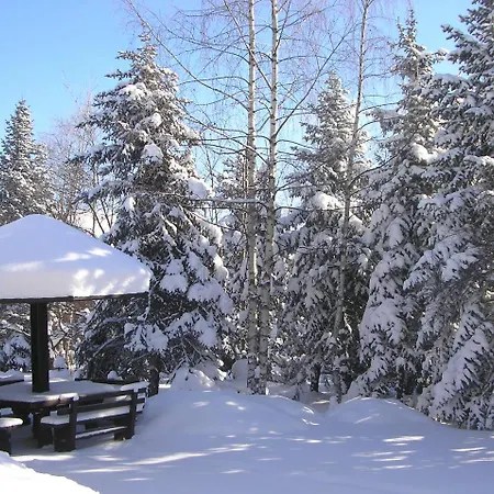 Zlatibor's Peace